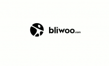 Logo Blliwoo